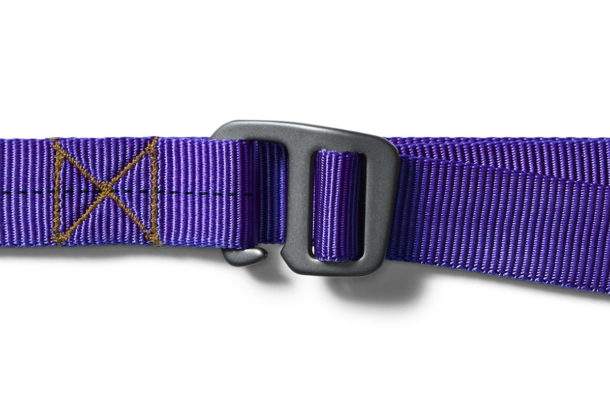 flat shot of the belt in purple rain